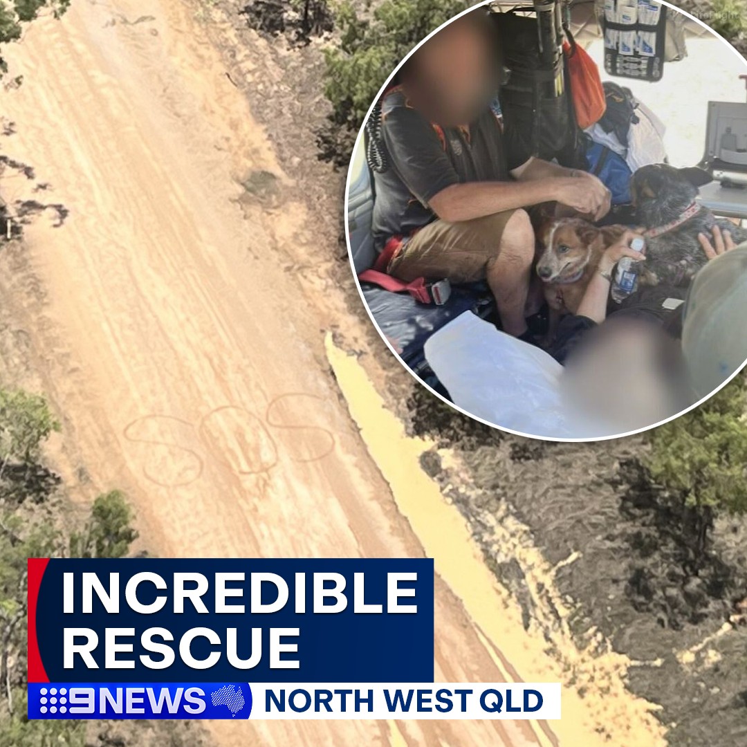 9 News - A Mount Isa couple has miraculously survived being in croc ...