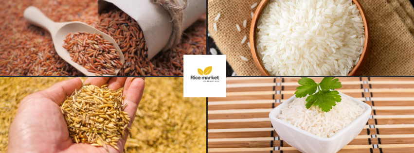 Bright Rice Cambodia | Phnom Penh