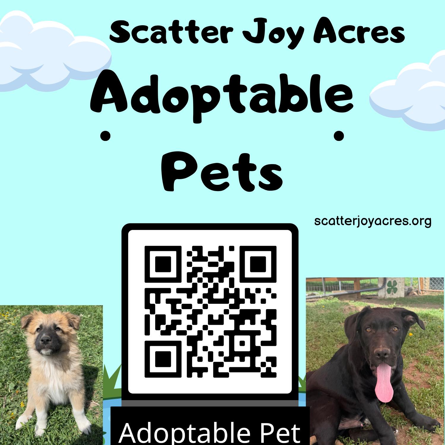 Scatter - Here is a QR code and a link to our Pet finder ! https://www ...
