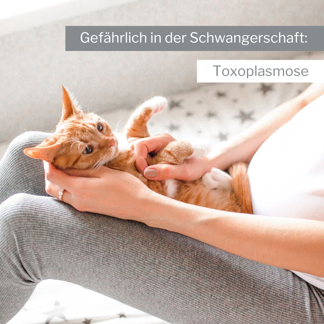 alvi schlafsack mäxchen thermo Exklusiv | Baby-Schlafsack ohne Ärmel Lidl hat am Dienstag Farbe:Verkehrsgrau RAL 7042 acura nsx
