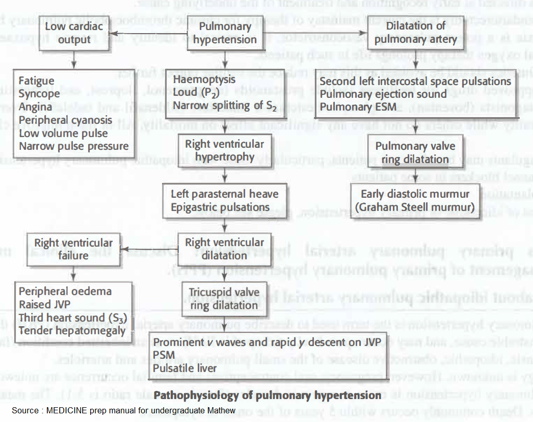 Pathophysiology of Pulmonary Hypertension - Manual of Medicine