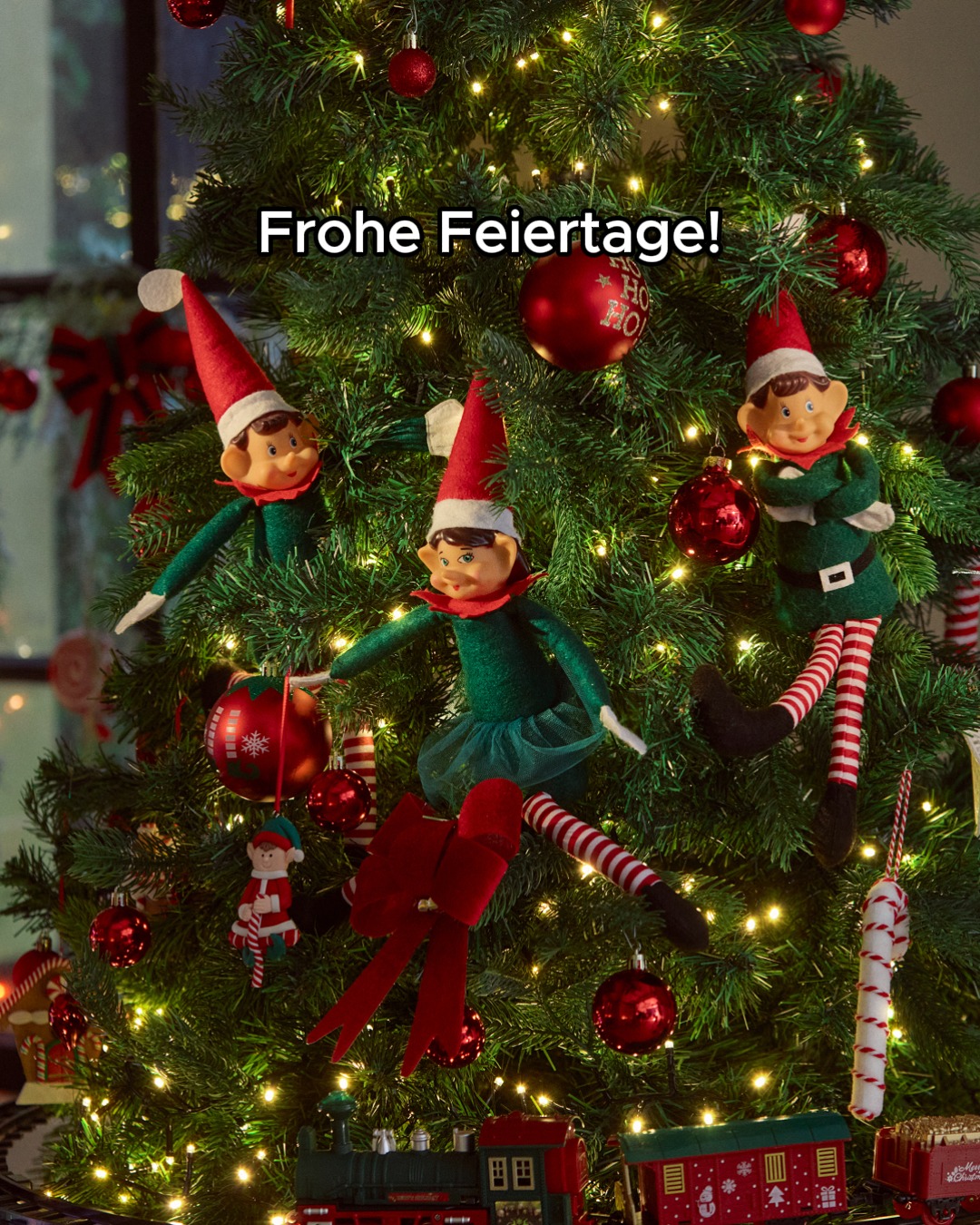 Die Feiertage sind da... Zeit, sie in vollen Zügen zu genießen! Frohe Festtage! ❤️ Ein Großteil unserer Filialen ist während der Feiertage geschlossen. Bitte informiere dich auf unserer Website über