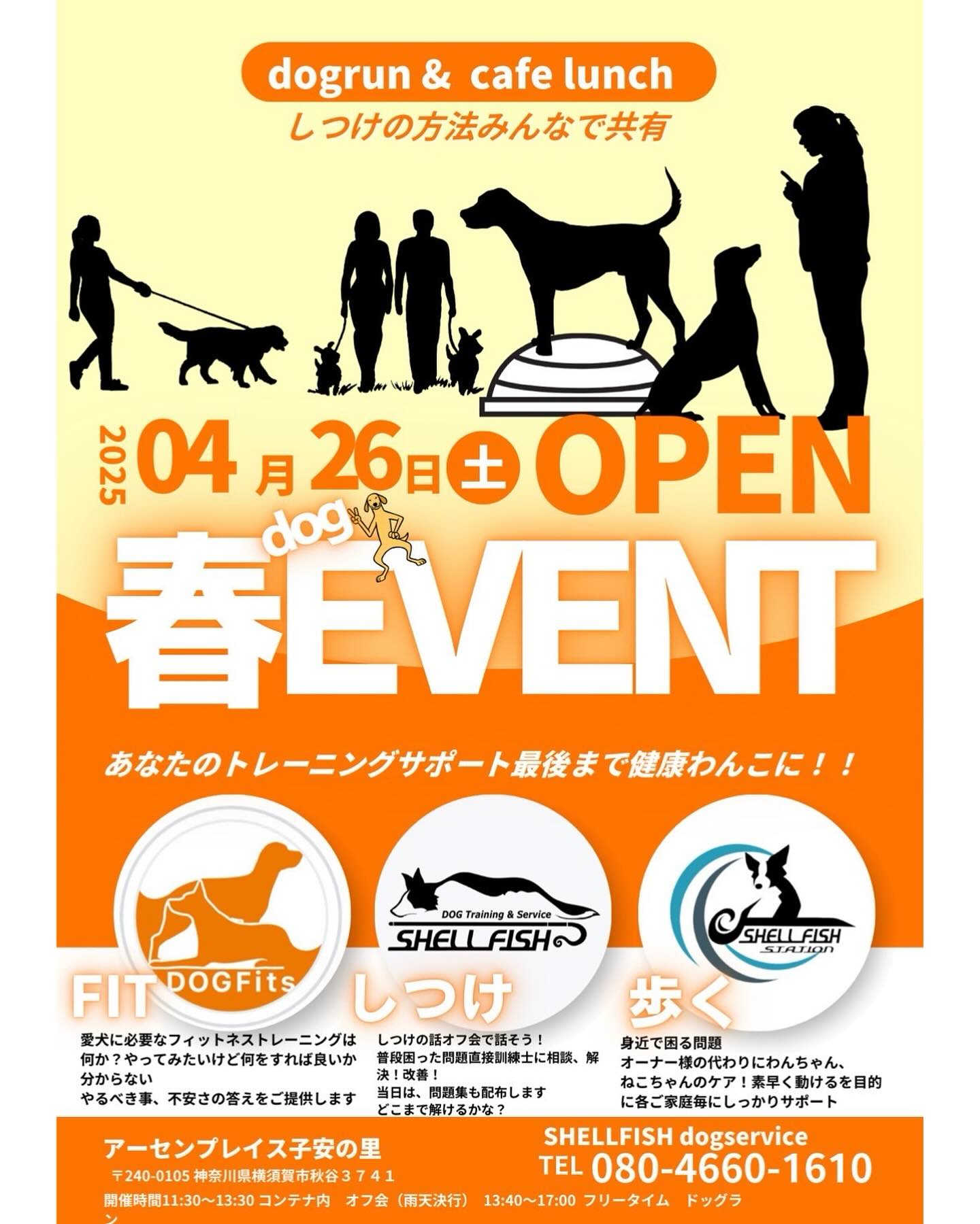 Shellfish dogservice | Kamakura-shi Kanagawa