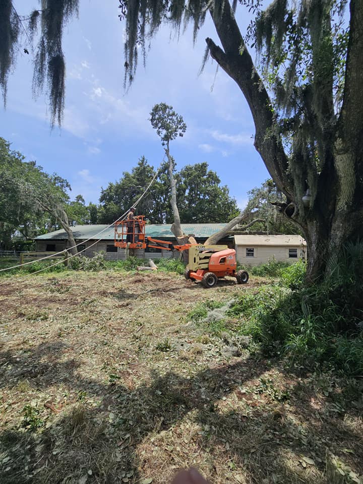 Wade’s tree service | Plant City FL