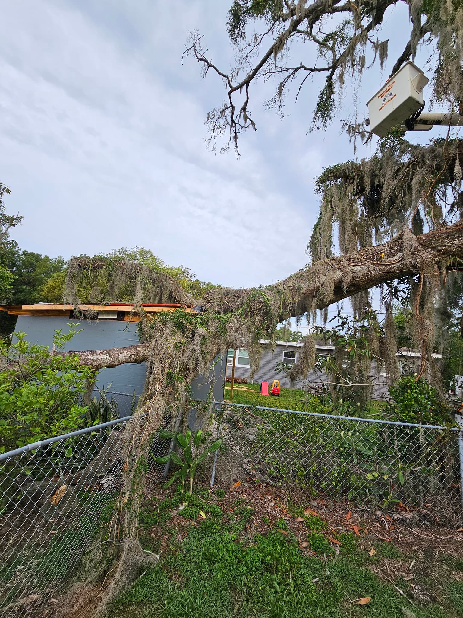 Wade’s tree service | Plant City FL