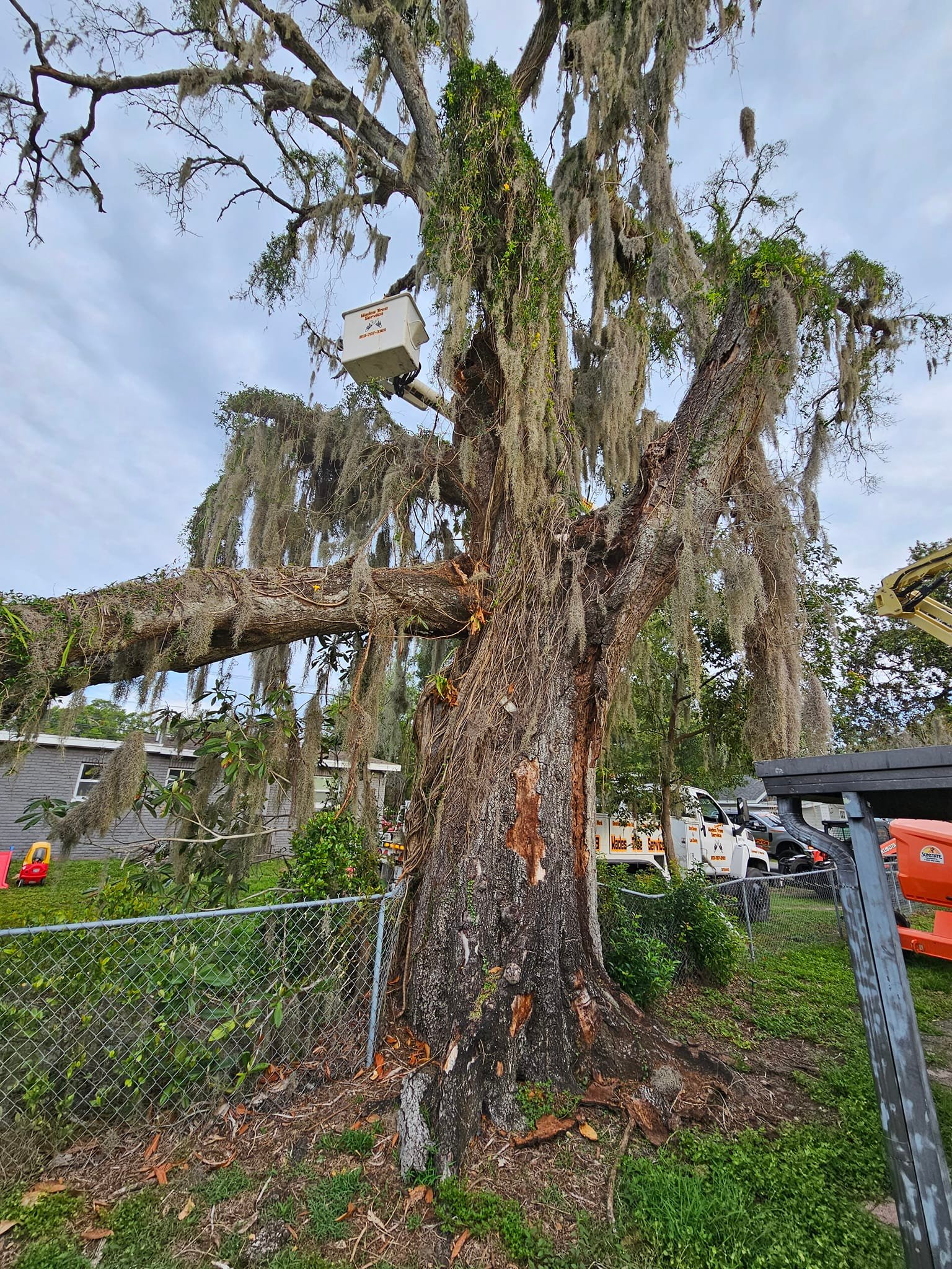 Wade’s tree service | Plant City FL