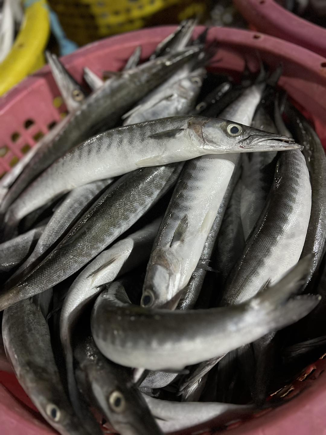 Jin's Sea Fish รับแล่ปลา-ตัดปลา งานไว จำหน่ายเนื้อปลาทะเลแล่ | Samut Sakhon