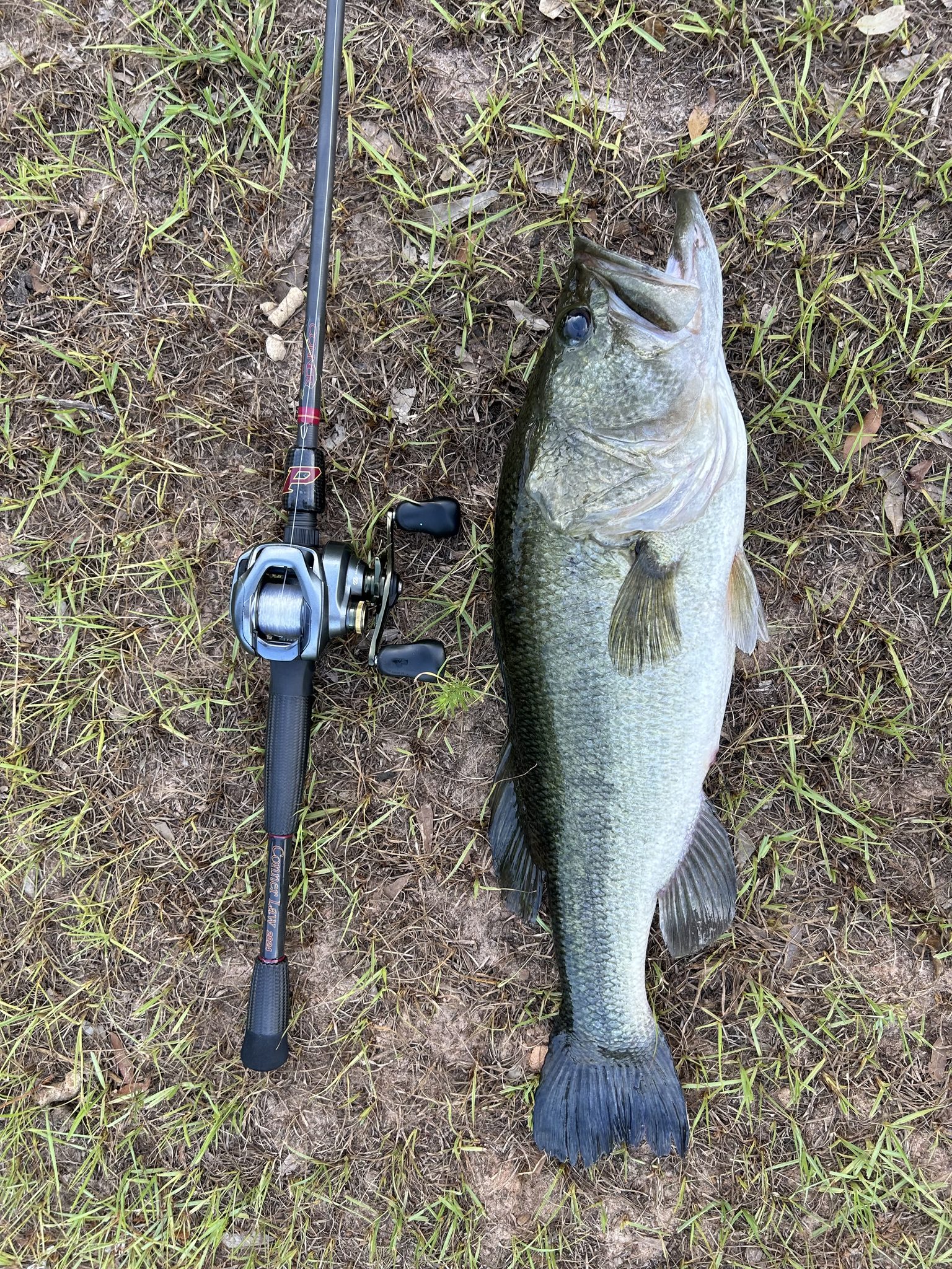 Conner Custom Rods