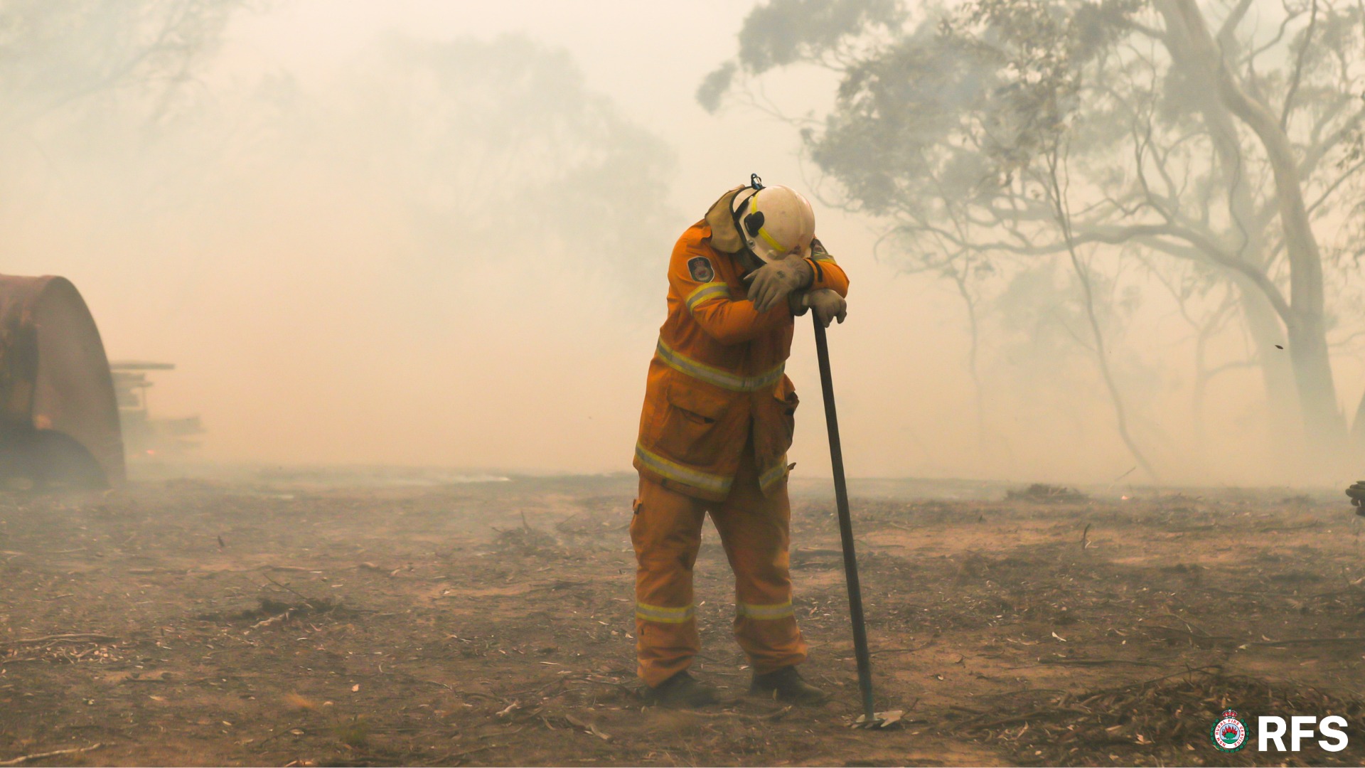 NSW - The final days of 2019 saw fire ravage the southeast of NSW, as ...