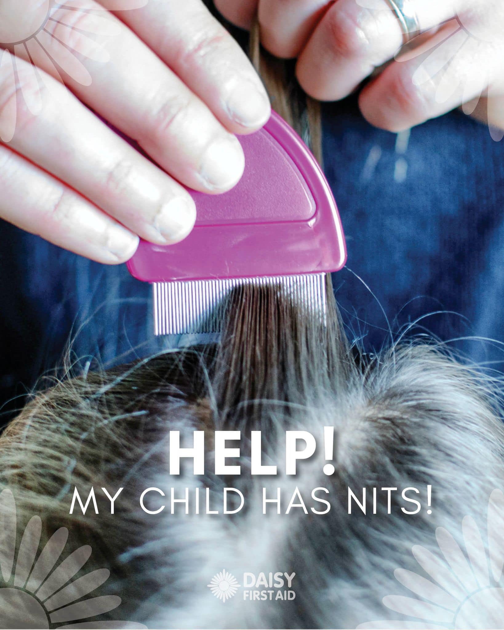 daisy-first-aid-ribble-valley-how-do-you-spot-and-treat-head-lice