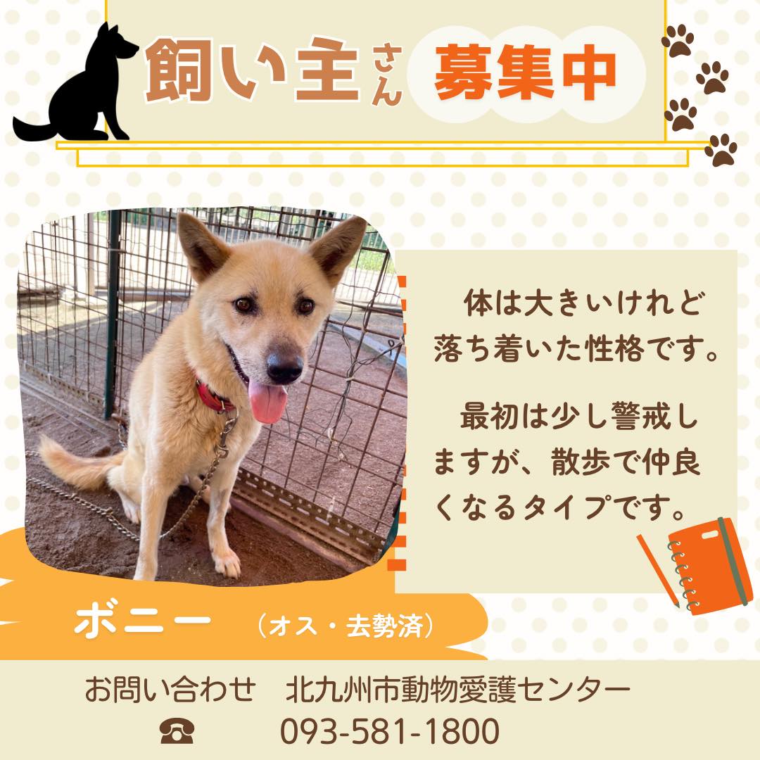 動物 愛護 センター 北九州