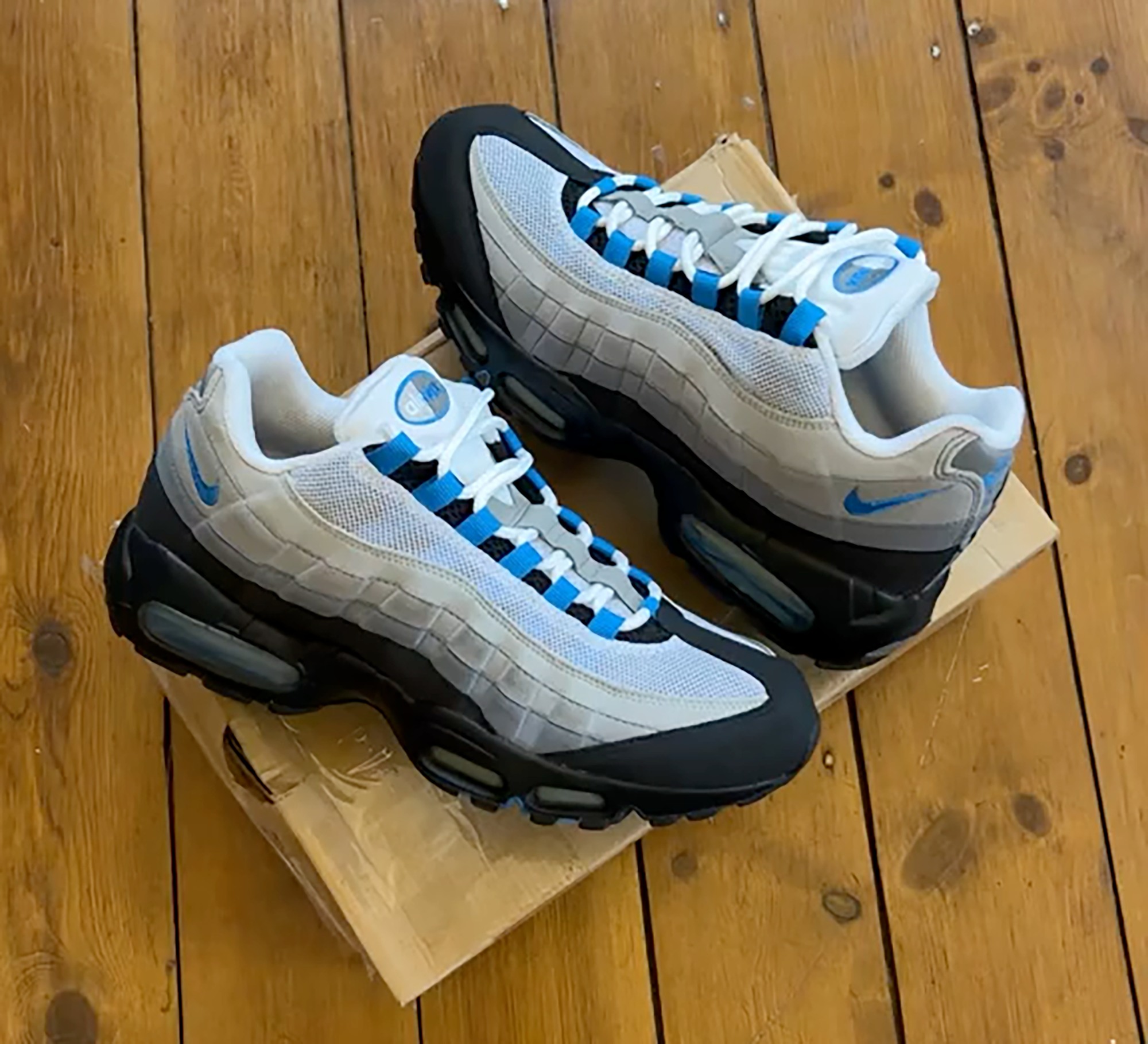 The Nike Air Max 95 