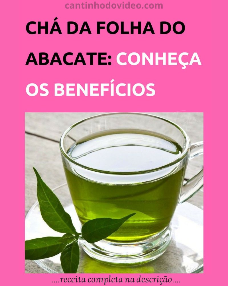 Plantas, - 🌿🍵 Chá da Folha de Abacate: Benefícios e Como Usar! 🍵🌿 Você ...