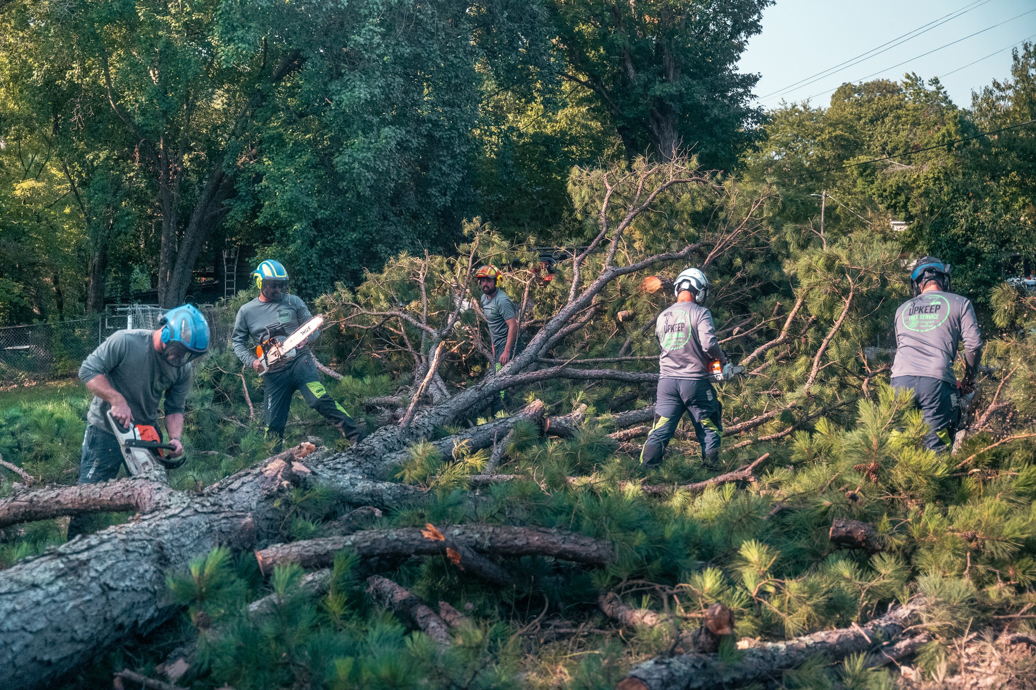 UpKeep Tree Service | Centerton AR