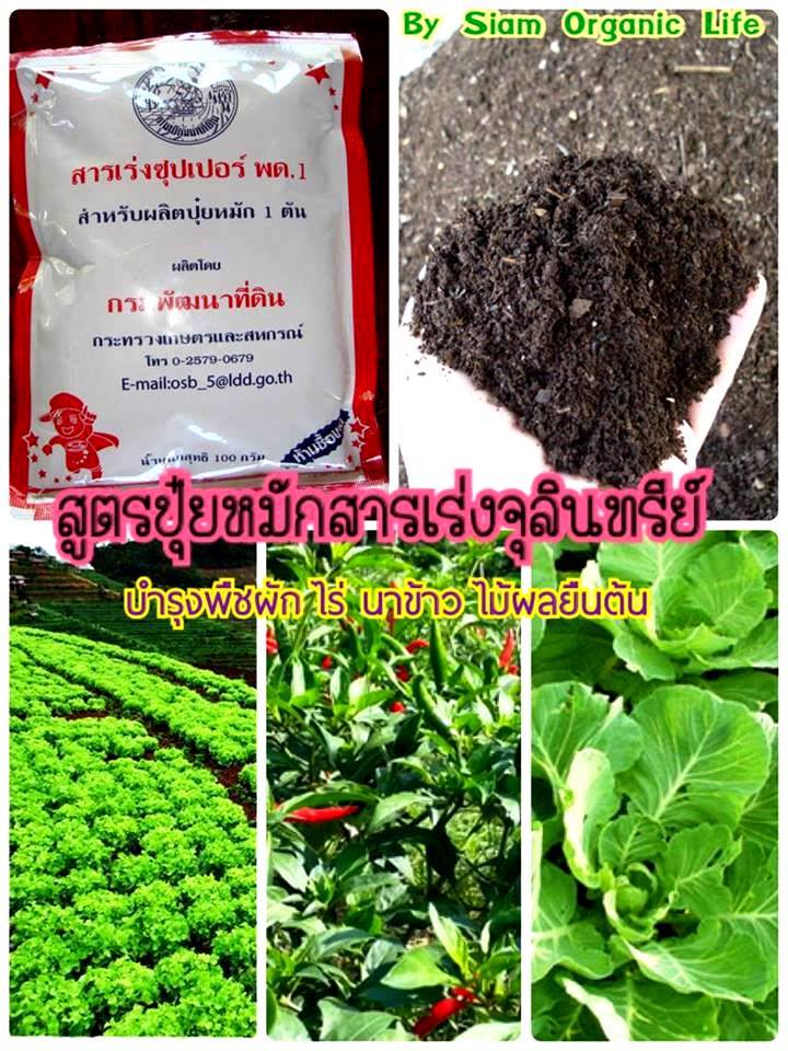 เกษตรสูตรปุ๋ยอินทรีย์ - สูตรปุ๋ยหมักสารเร่งจุลินทรีย์ การใช้สารเร่ง ...