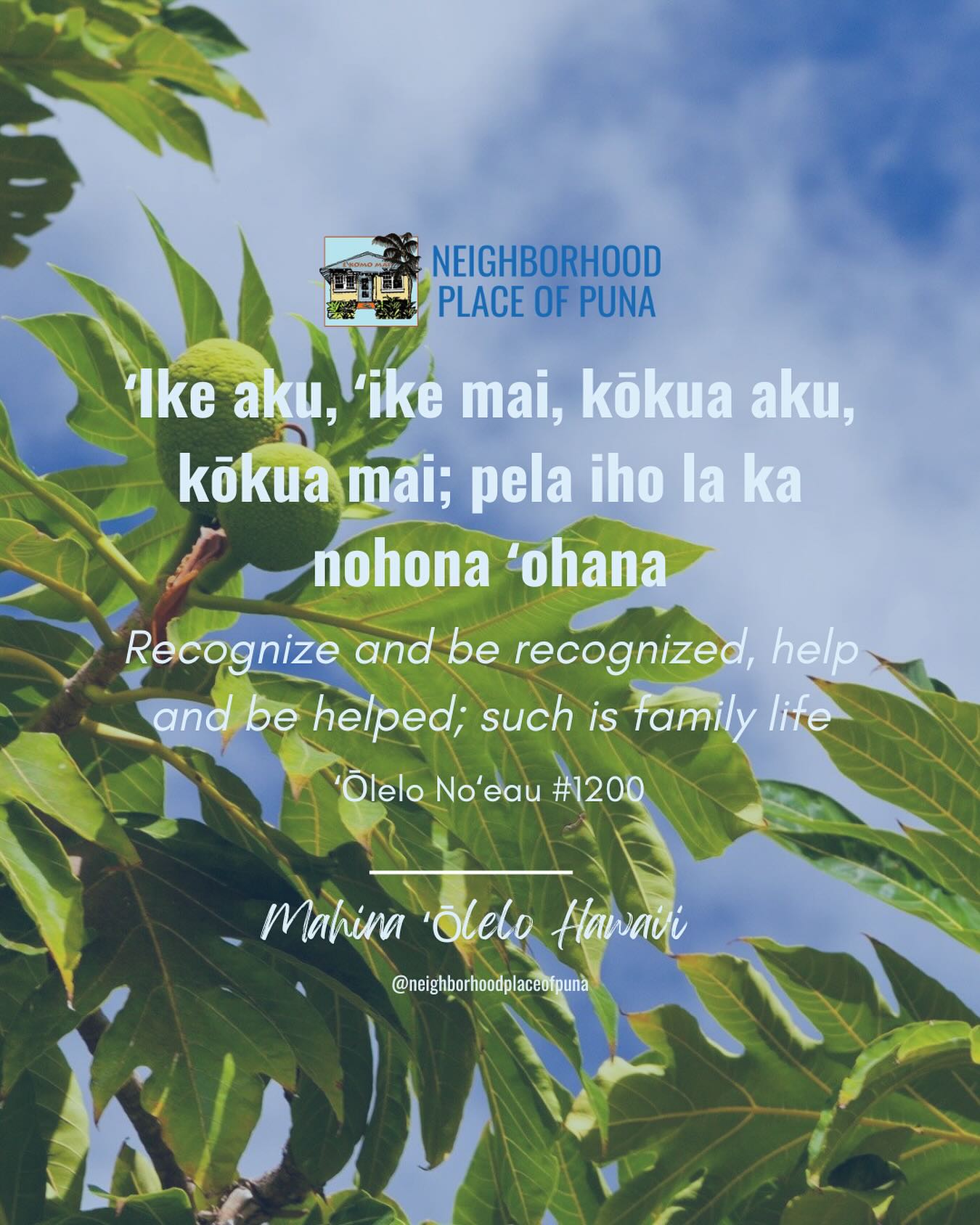 February is Mahina ʻŌlelo Hawaiʻi, a month dedicated to 