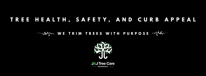 J & J Tree Care Professionals | San Antonio TX