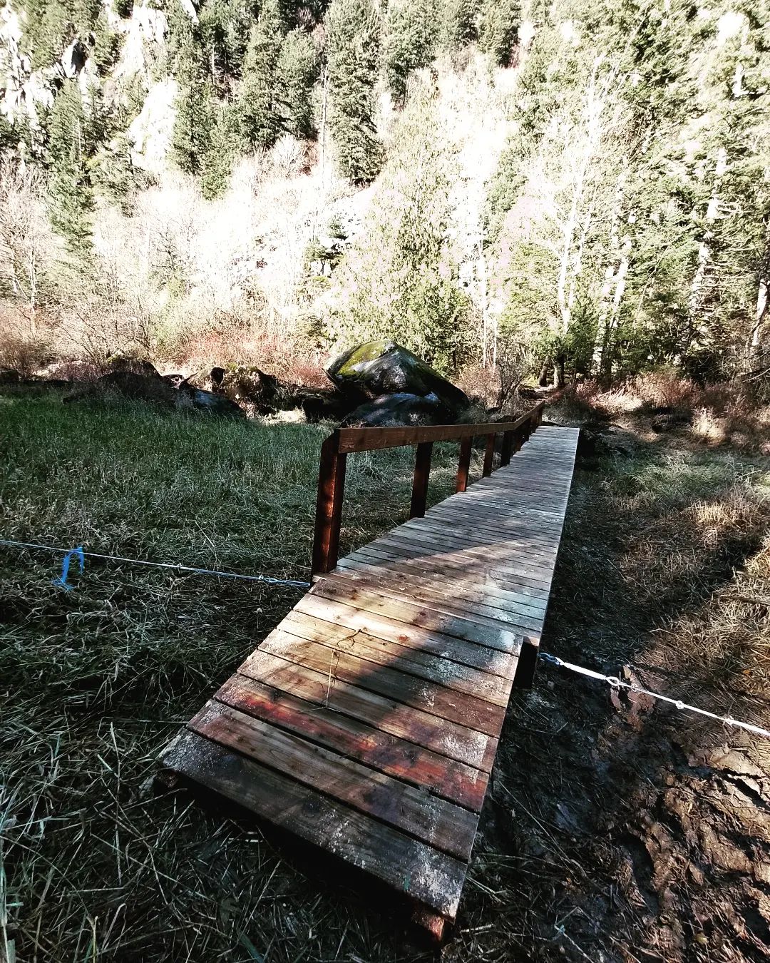 TD Timber Design | Williams Lake BC