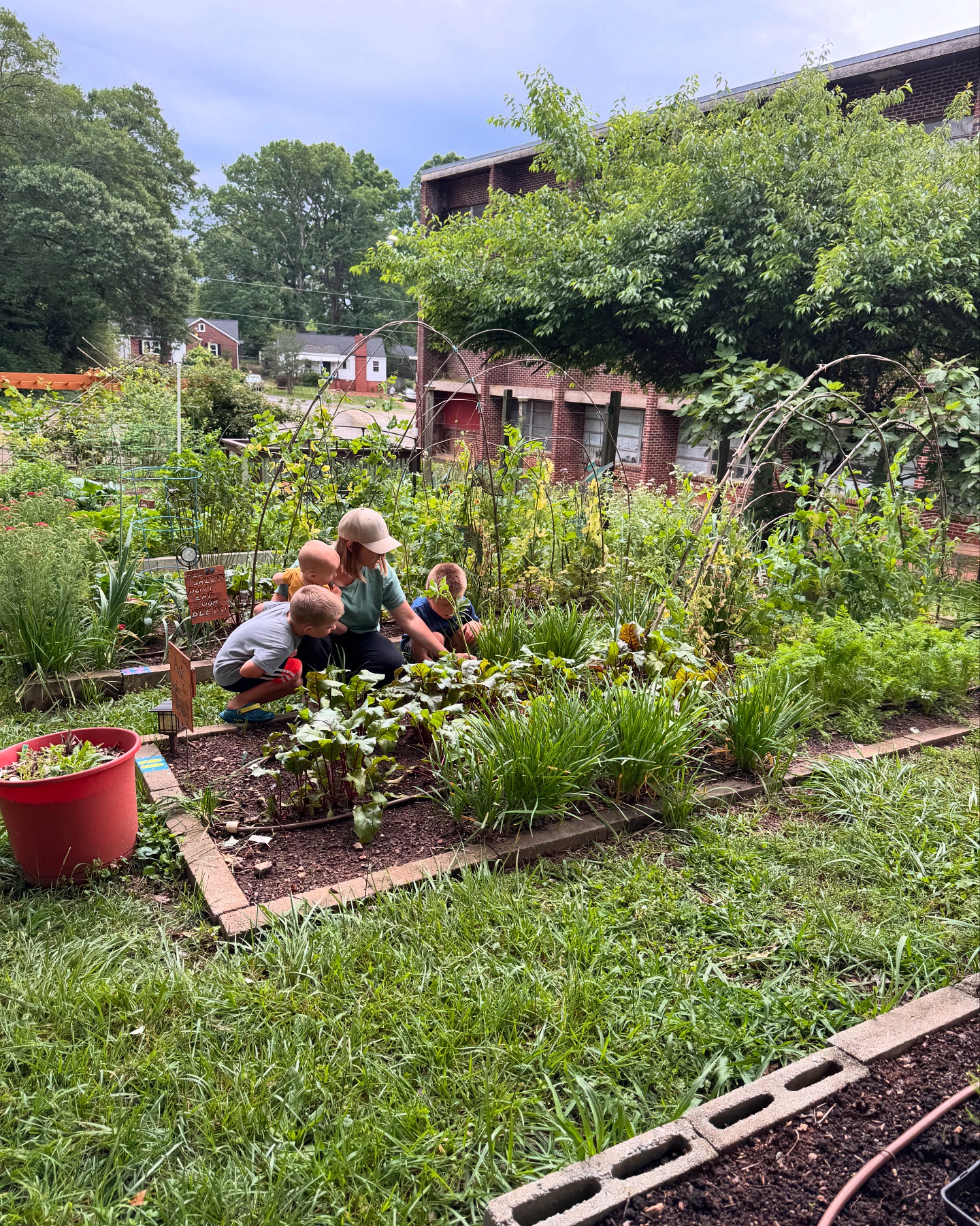Sans Souci Community Garden | Greenville SC