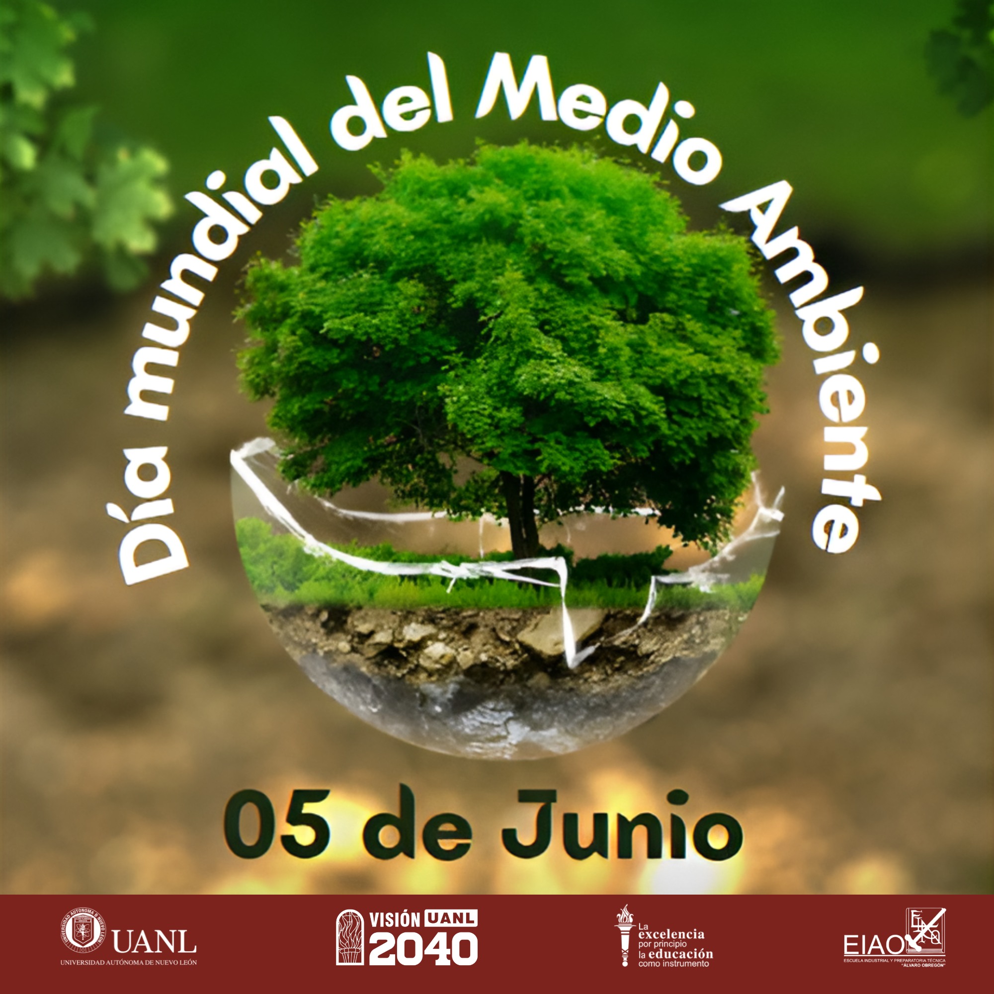 Escuela - El 5 de junio se celebra el Día Mundial del Medio Ambiente ...