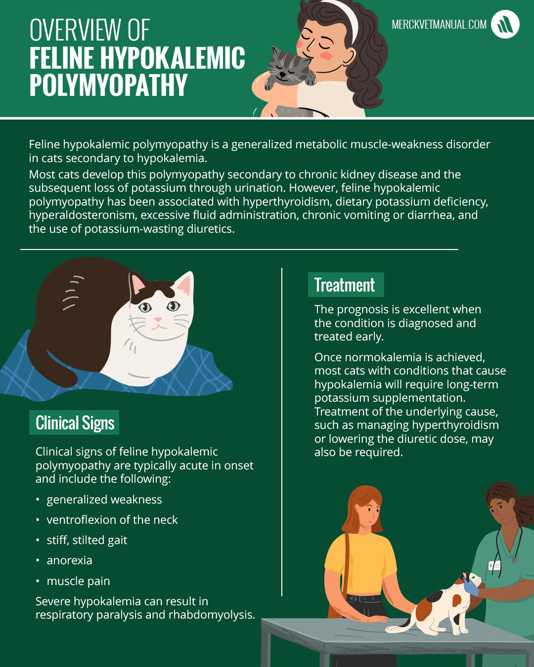 l carnitine for cats hyperthyroidism Feline hypokalemic polymyopathy is a muscle weakness disorder that affects the whole body and is caused by potassium deficiency. Save and share this post, then click to refresh your knowledge: https://bit.ly/4v1d3TA كريم يفتح التصبغات Doctor's Best | Acetyl-L-Carnitine, Quantity:3pcs