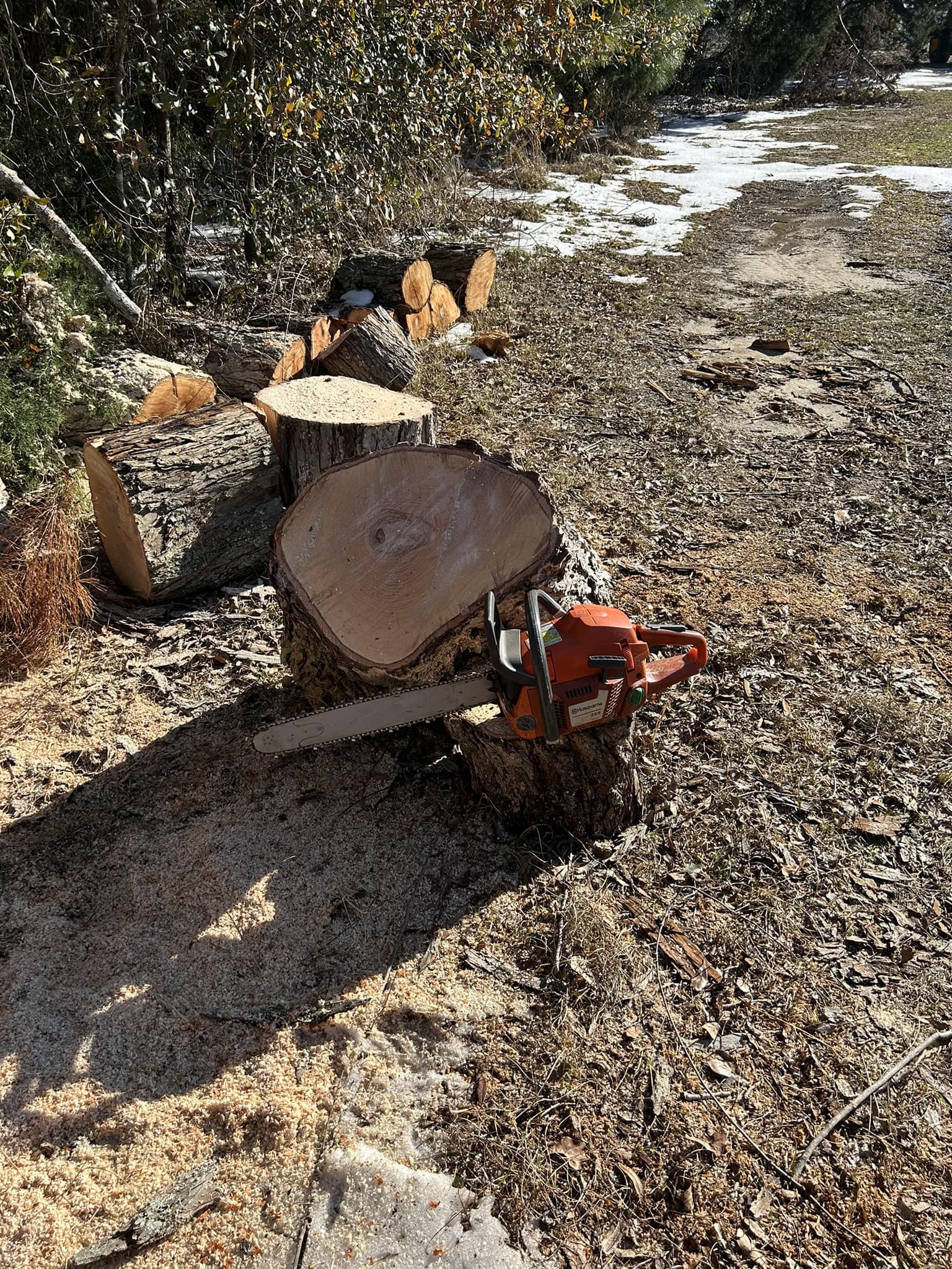 What are the pros and cons of Husqvarna 359 saw?