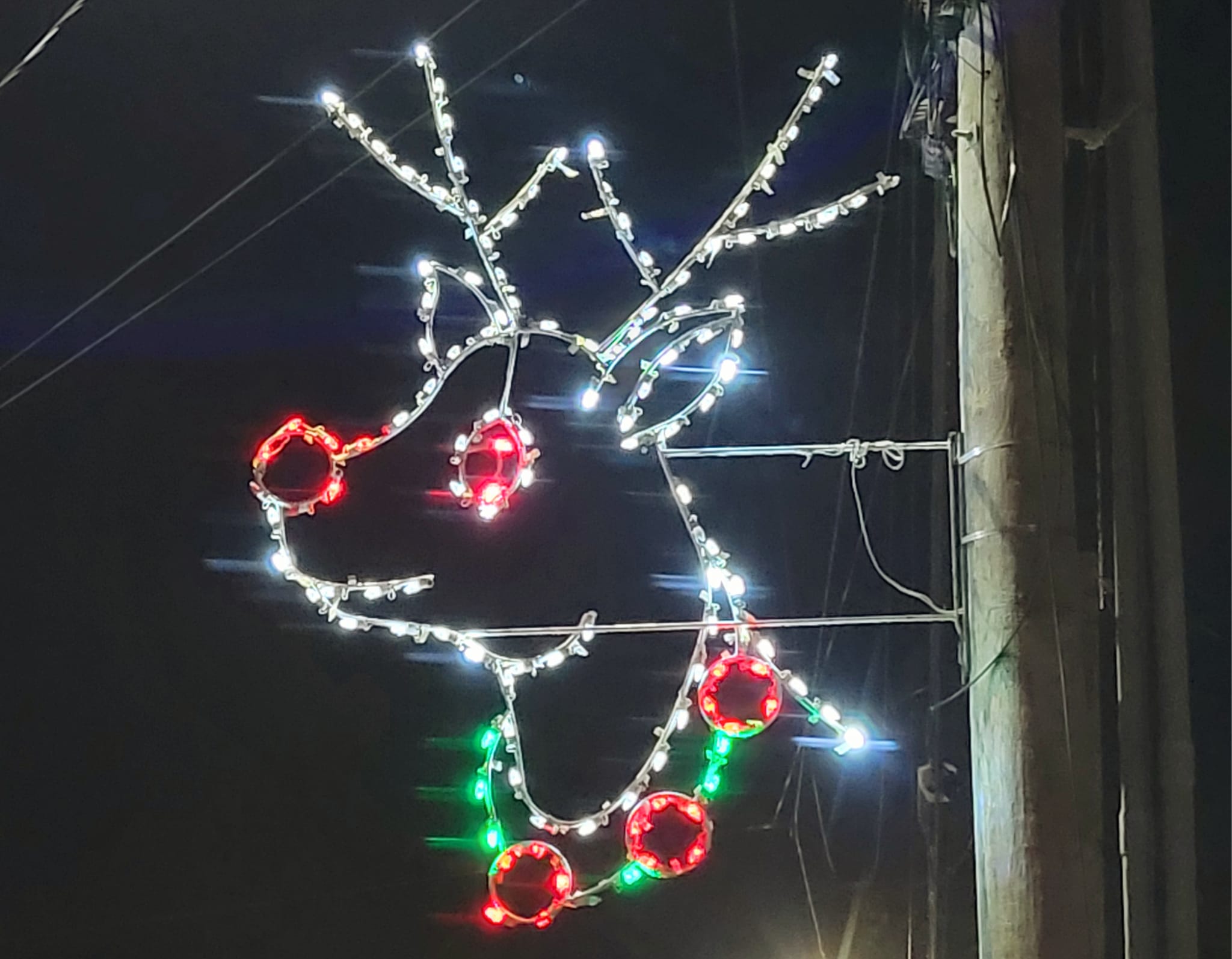City - There's a longstanding rumor that this red-eyed deer on ...