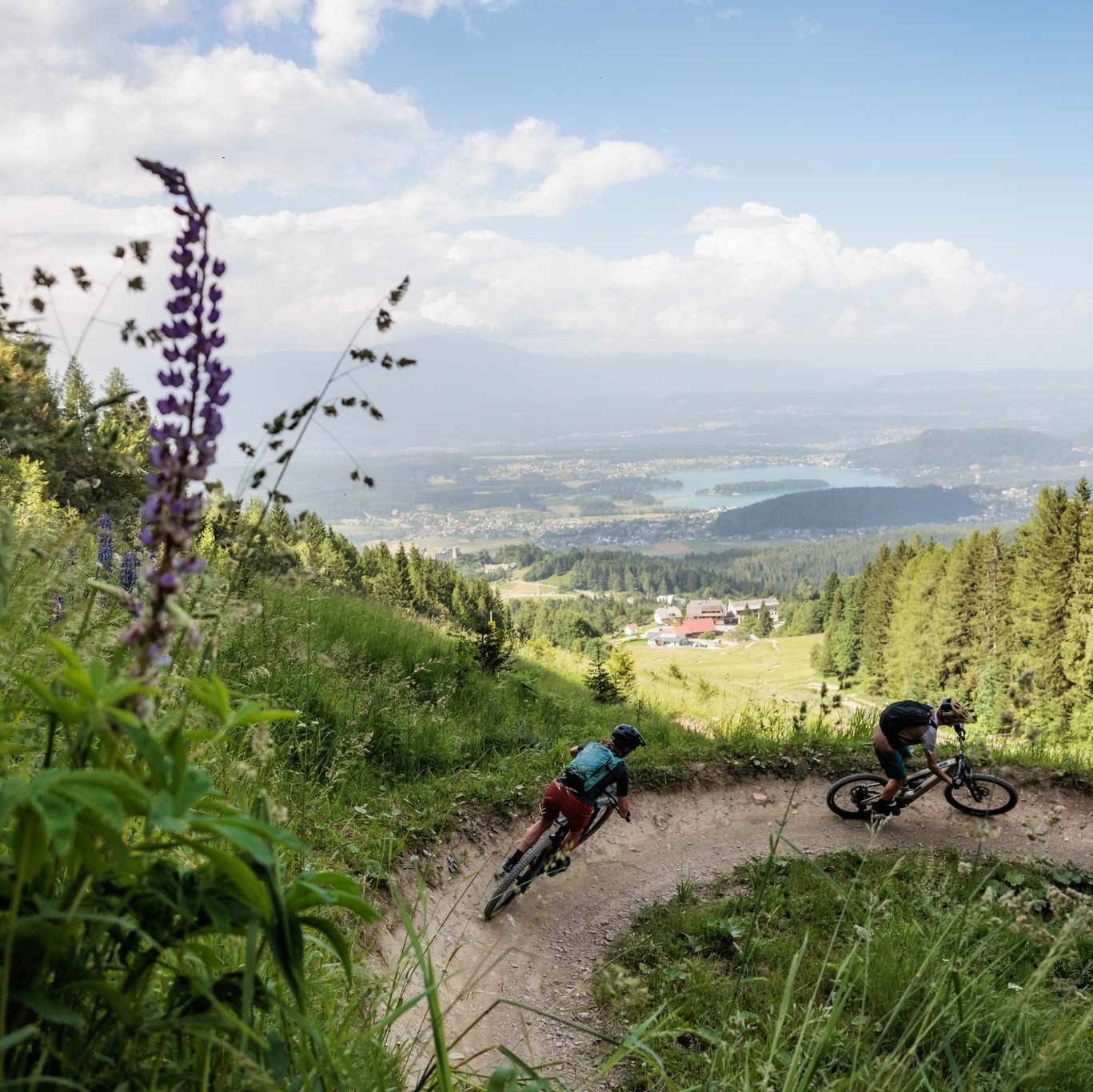 vault pedale DMR Model One Farbe
---:Nero Die Top-Mountainbike-Touren rund um With 11 pins per
