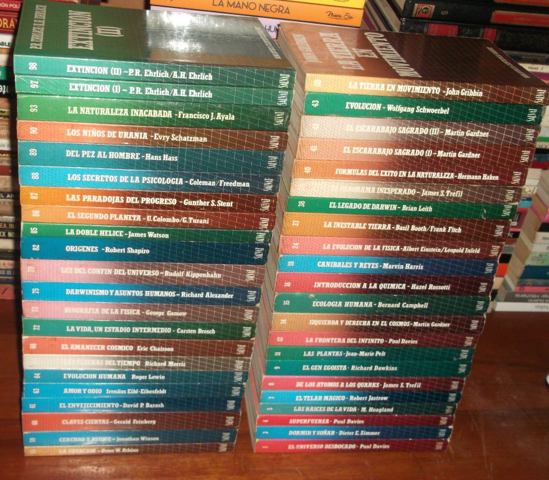 Biblioteca Rumi | Lima