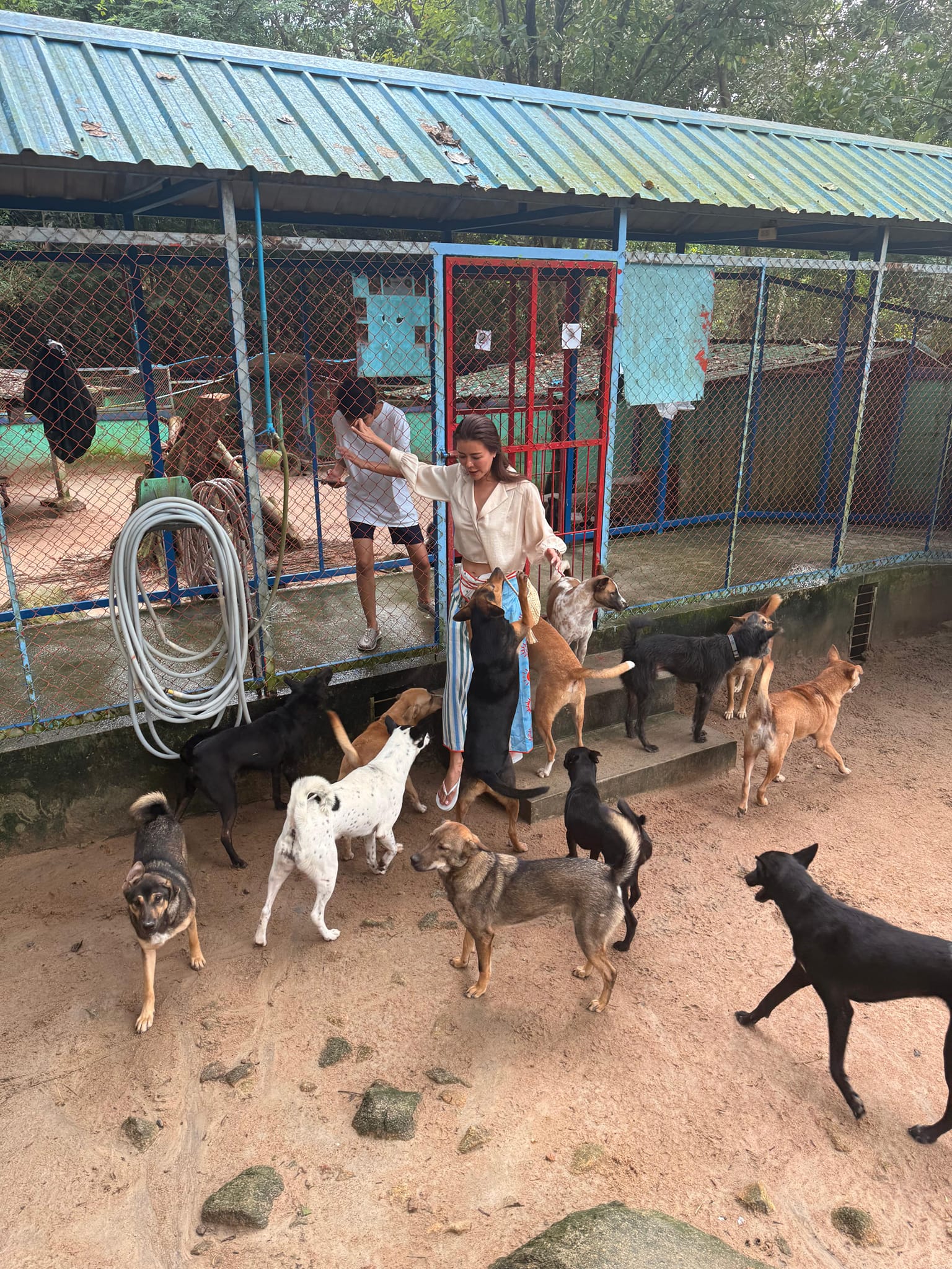 Thank you so much to... - Dog & Cat Rescue Samui Foundation
