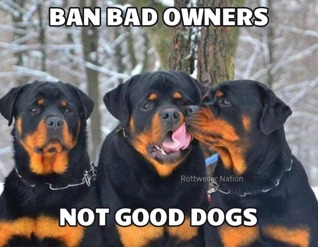 County K Rottweilers