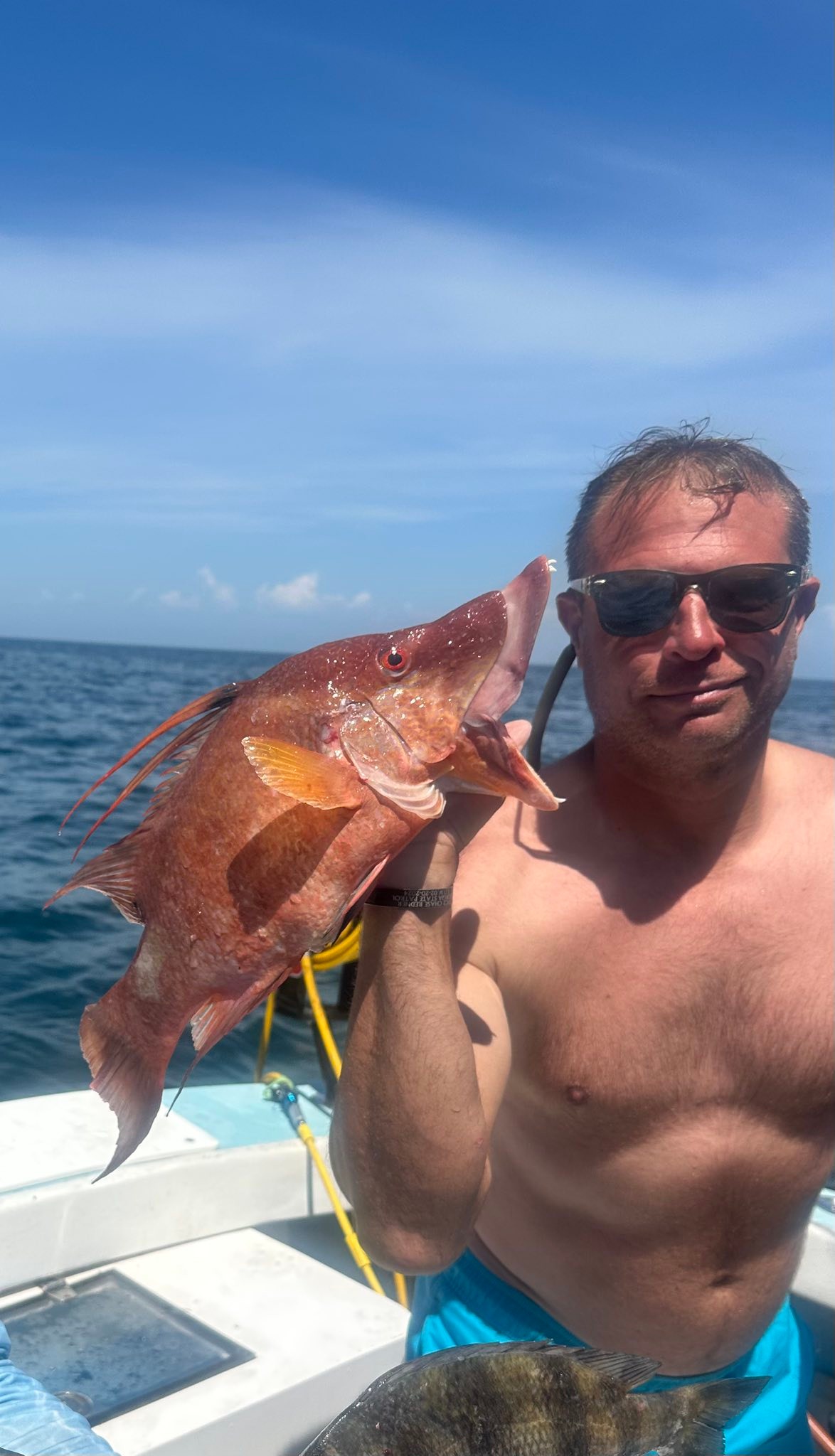 Shell Island Fish Camp added a... - Shell Island Fish Camp