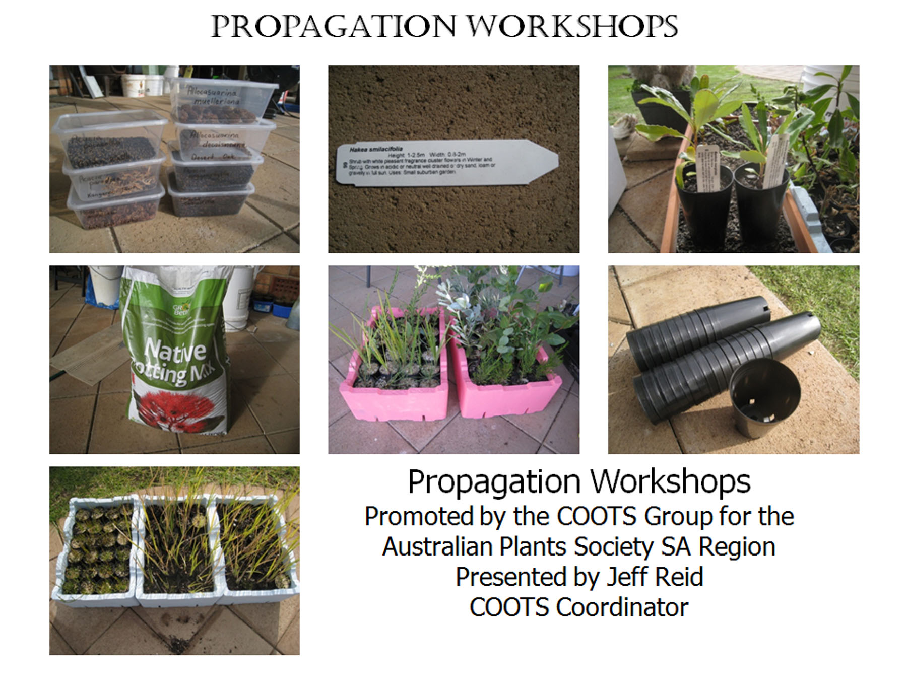 Australian Plants Society SA - Special notice on the propagation ...