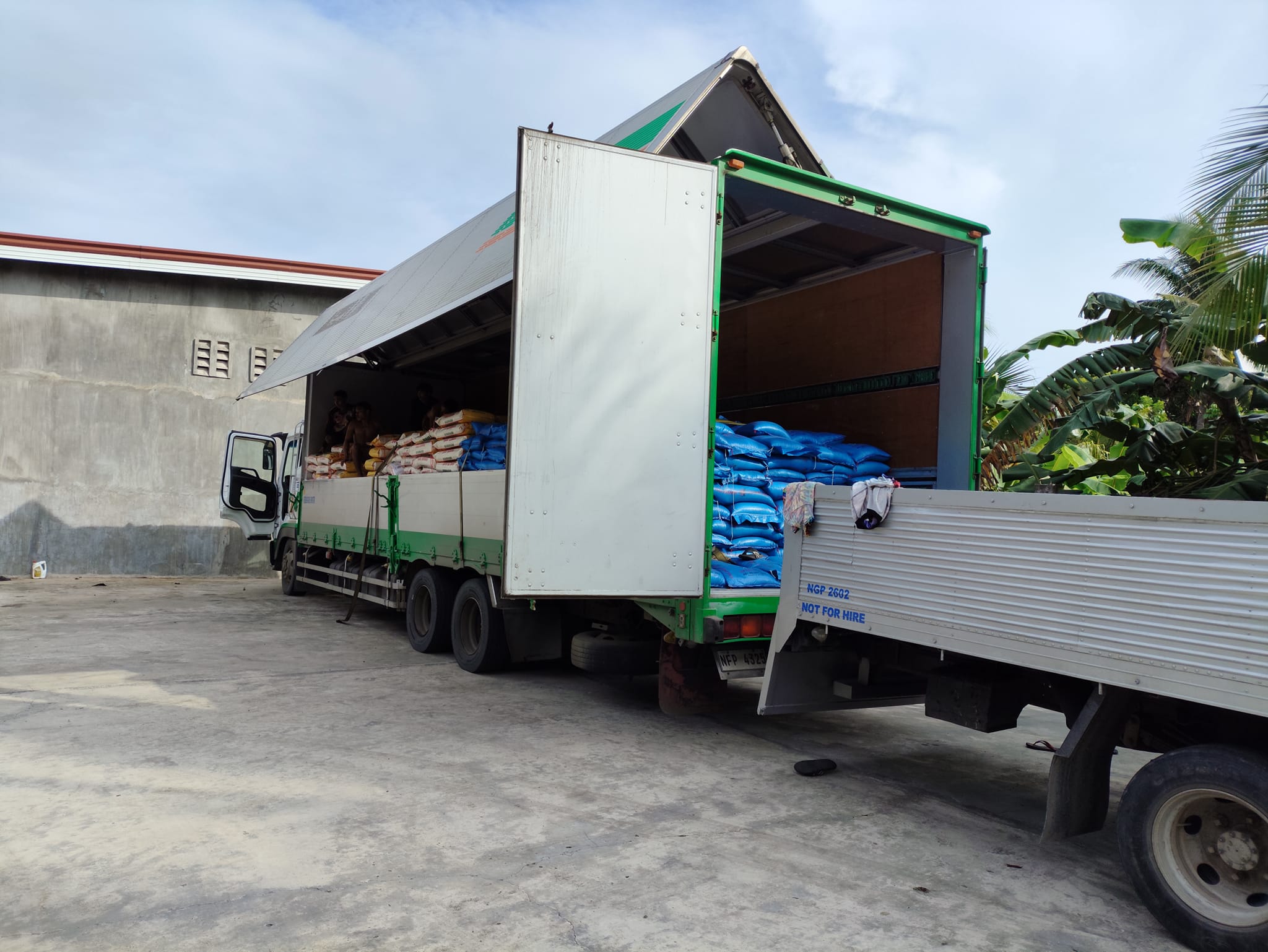 Green Rice Trading and Poultry Supplies | Caticlan