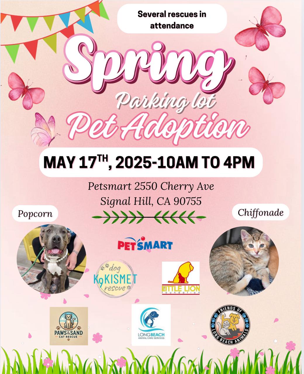 The Little - Spring is Here – and So is Your New Best Friend! 🌸🦋🐱🐶 Join ...