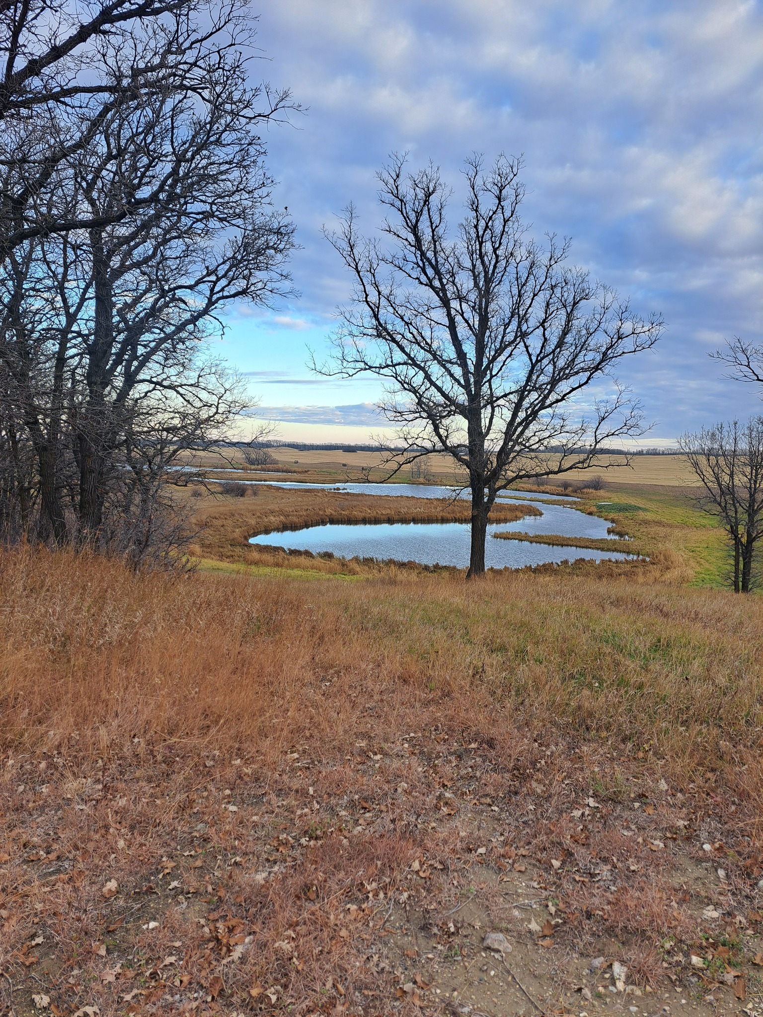 L Squared Ranch