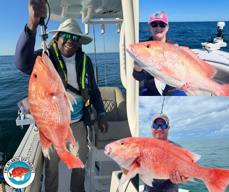 Don’t forget - Quarter 3... - MyFWC Florida Fish and Wildlife | Facebook