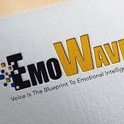 EmoWave, MEA