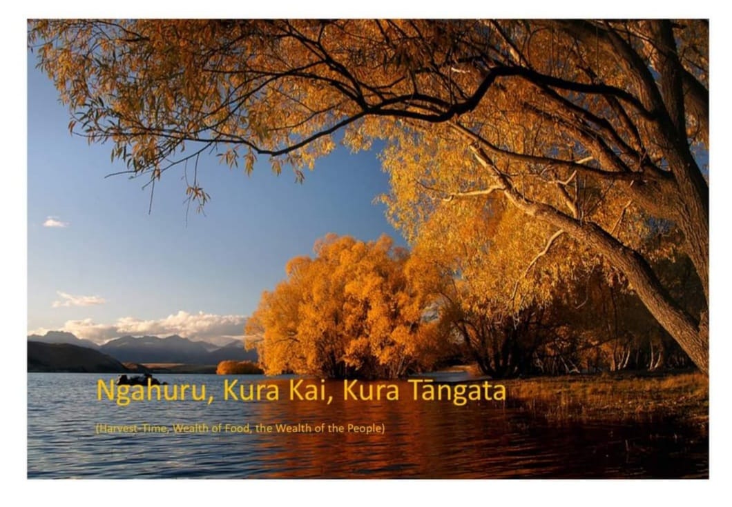Ngā Reo E Rua - Bilingual Early Childhood Education | Rangiuru