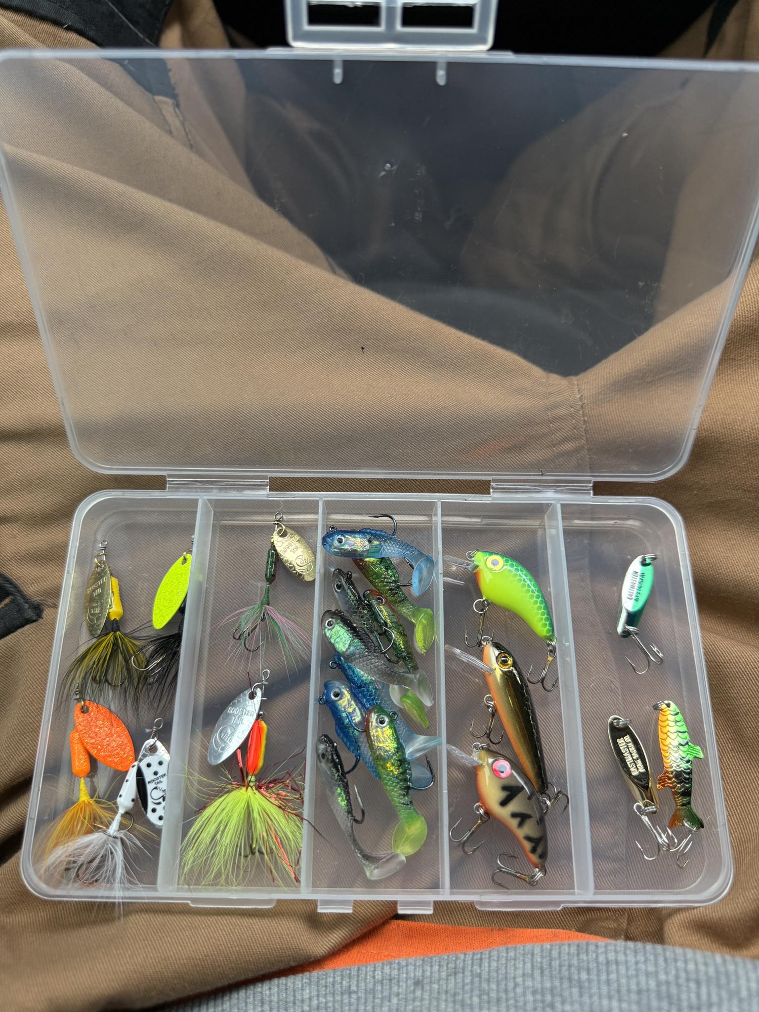 daiwa revros freshwater spinning combo 7 length two piece rod LT Fishing and Reel Wave rod features full Color:Maple Burl Predator rod & reel guttermaster timber fishing lure