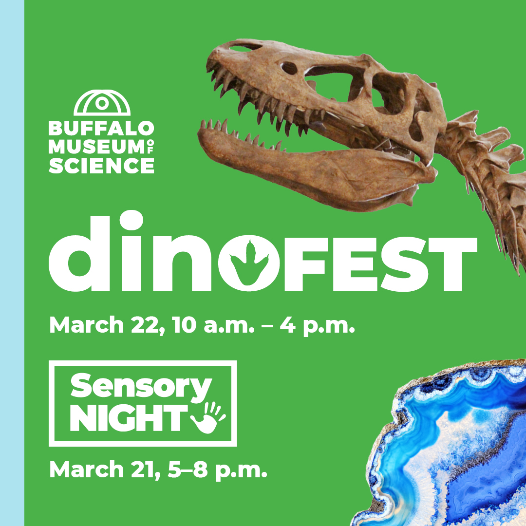 ‼️ DinoFEST tickets are on... - Buffalo Museum of Science | Facebook