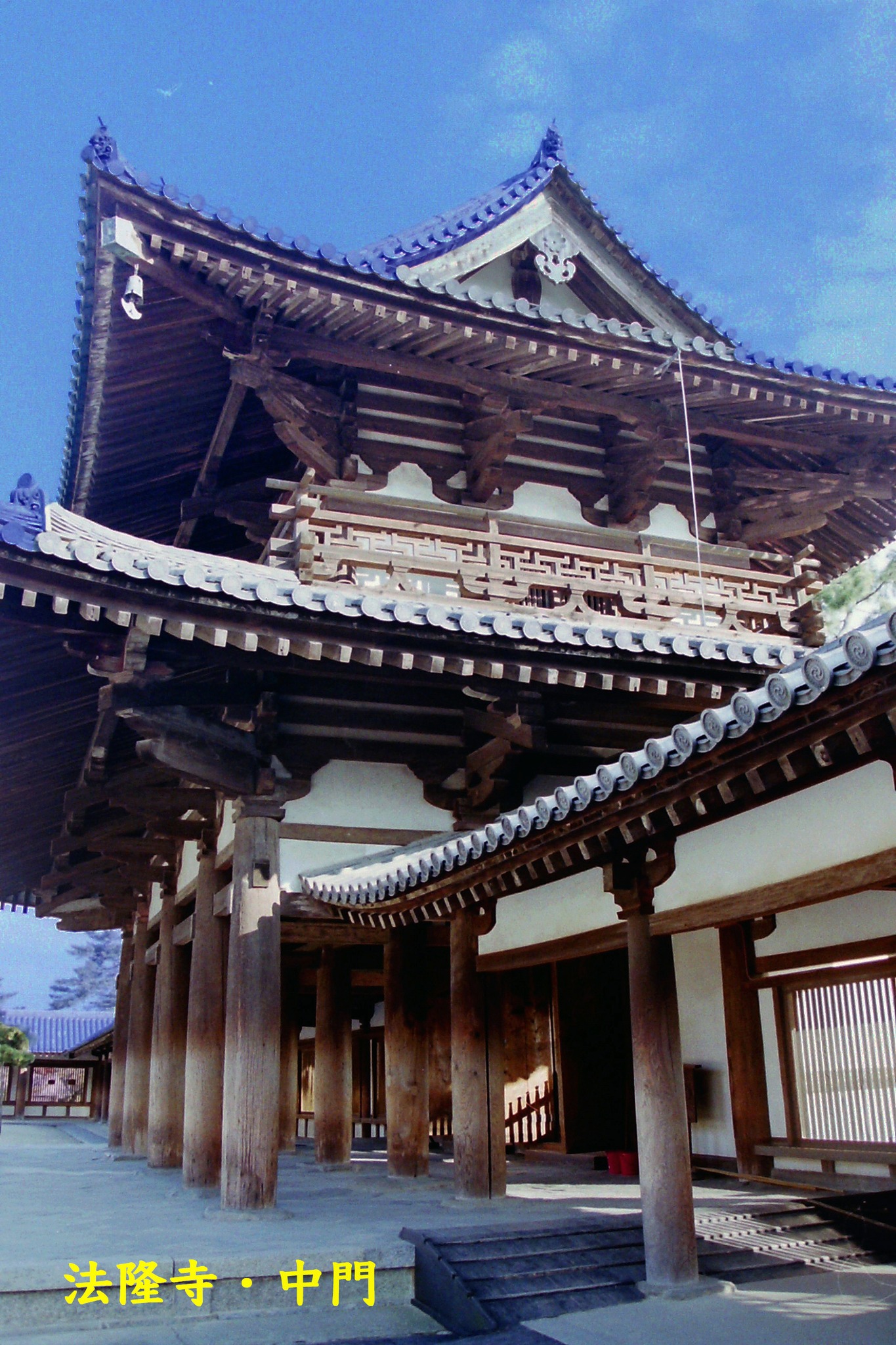 エンタシス と は