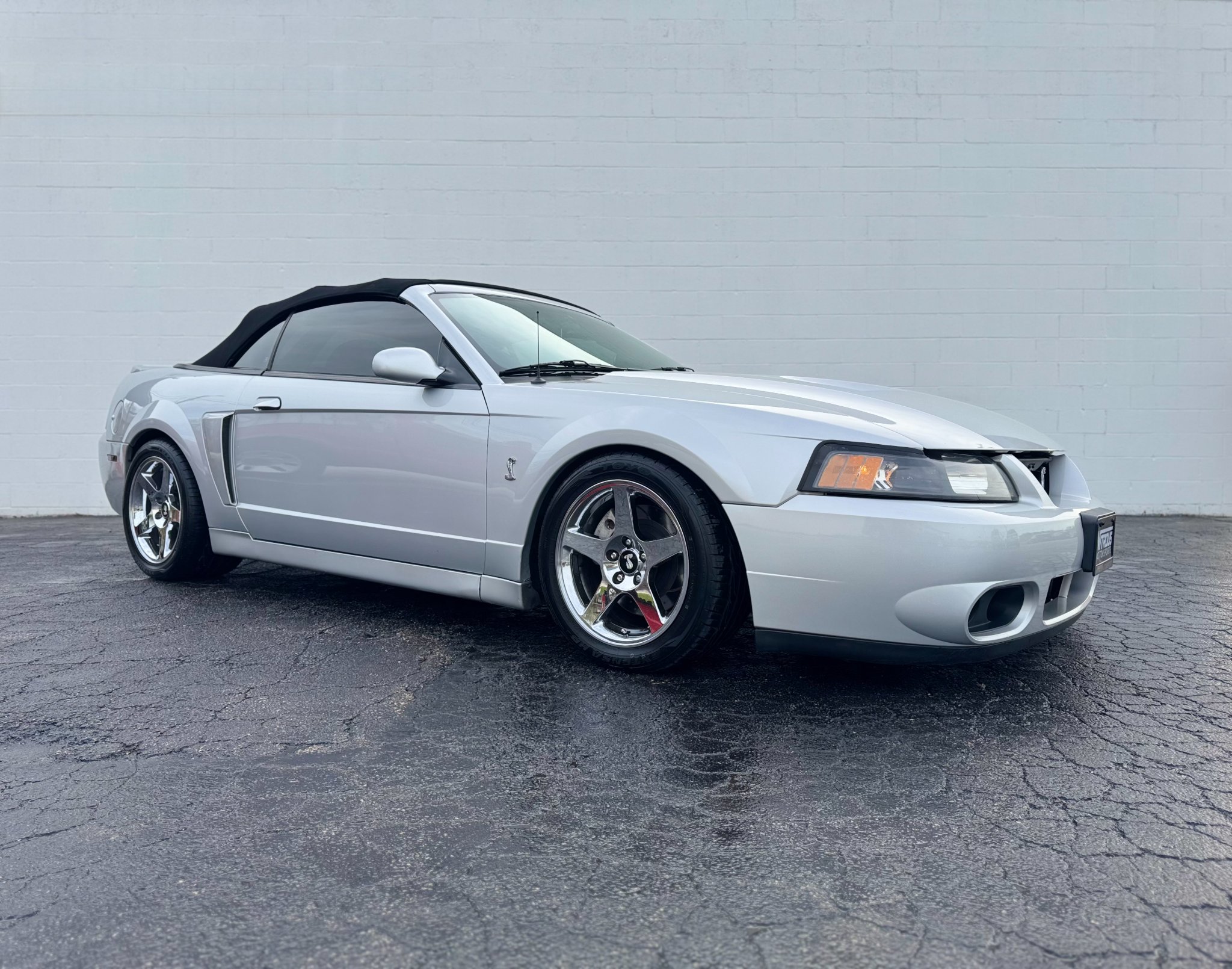 2004 Ford Mustang SVT Cobra Terminator - Cars & Trucks - Pacific ...