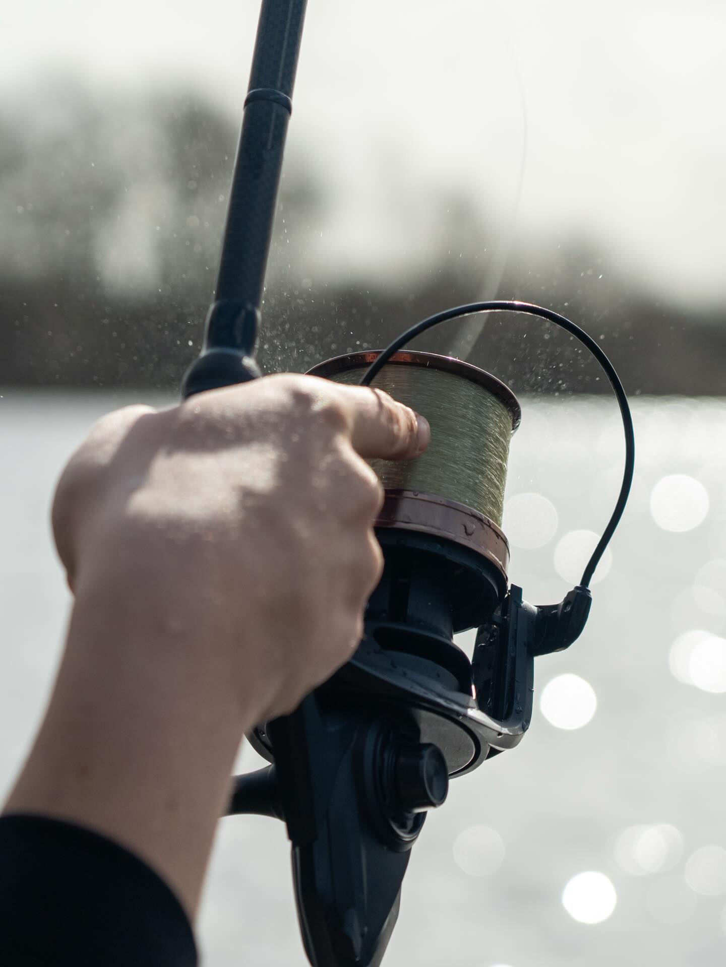 big pit carp fishing reels Sougayilang CCF 7000 Spinning Reel  33LB Max Drag, 13+1 Bearings, 4.7:1 Gear Ratio, Long Cast Surf Reel for Carp, Catfish & Saltwater Big Game : Sports & Outdoors A reel that looks and performs like it should be 500  MOMENTOUSThe One More Cast