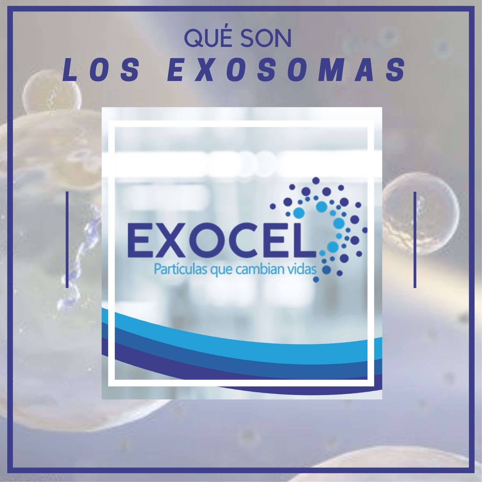 Exocel - SABES qué son los exosomas y por qué pueden... | Facebook