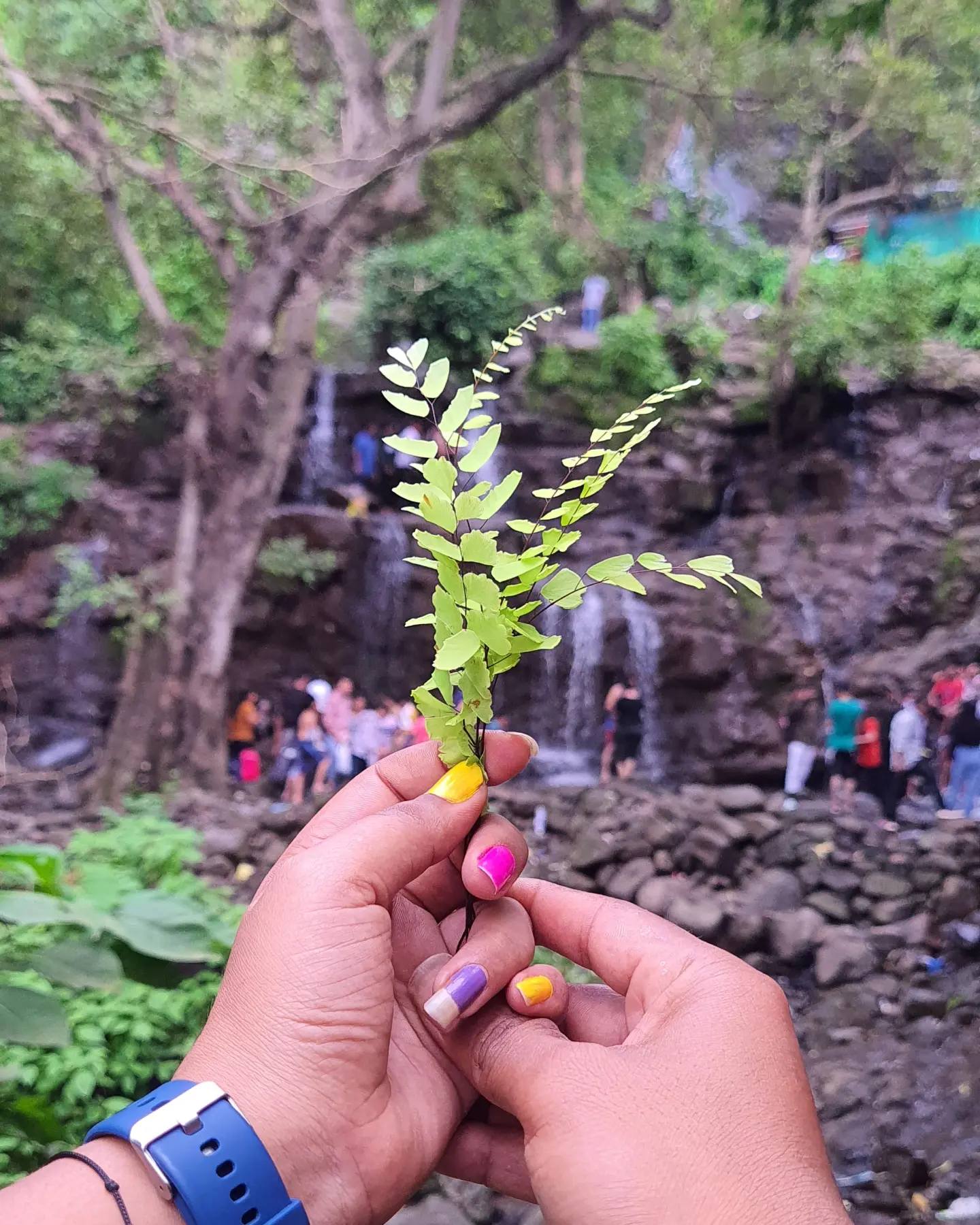 purna_wildlife_sanctuary