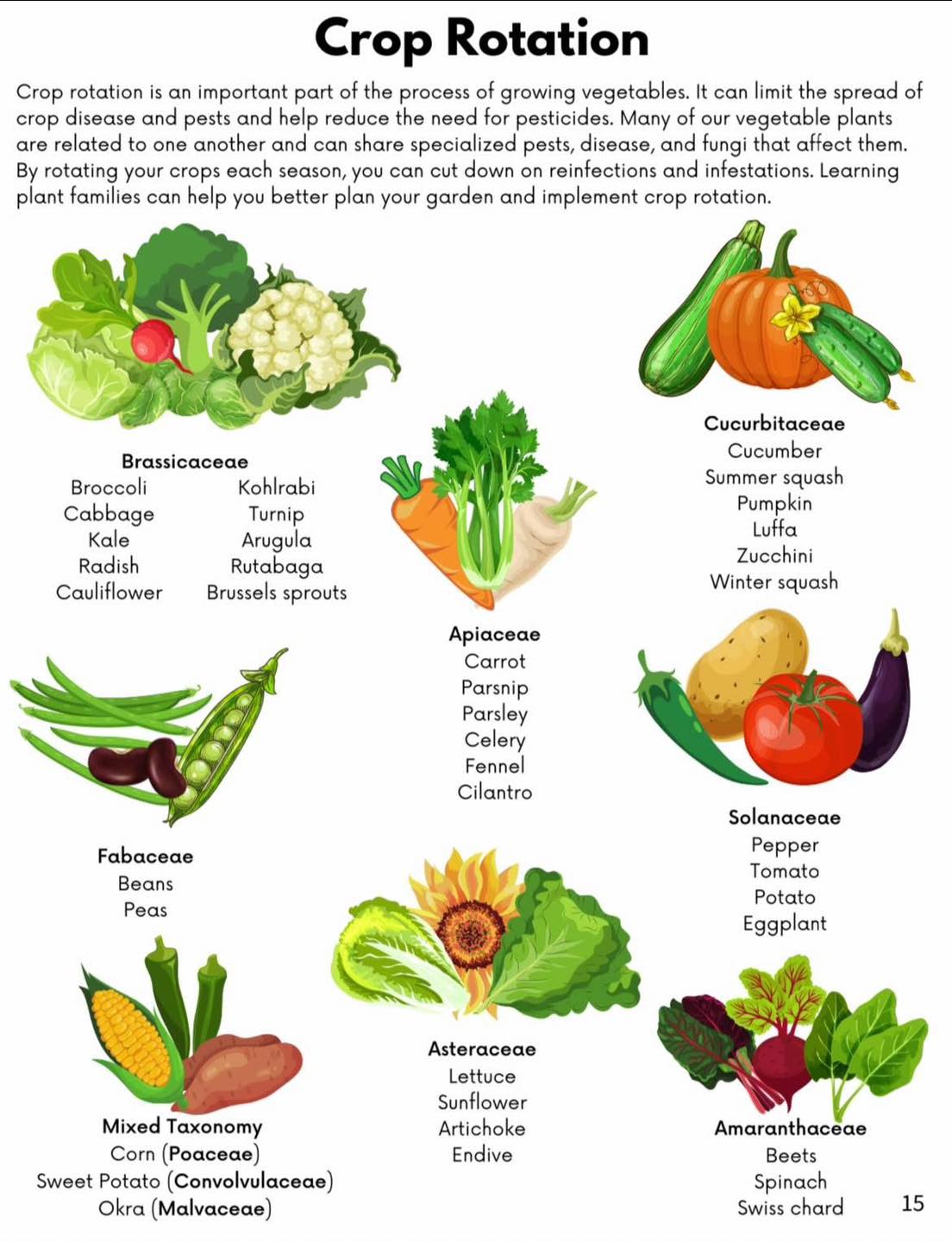 Process For Growing Vegetables Recent Developments And Inventive