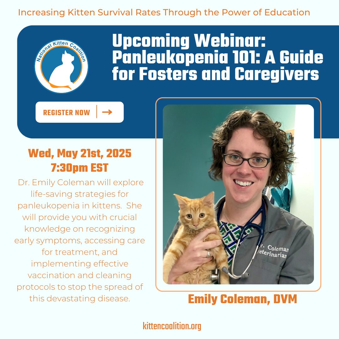 Upcoming Webinar:... - National Kitten Coalition | Facebook