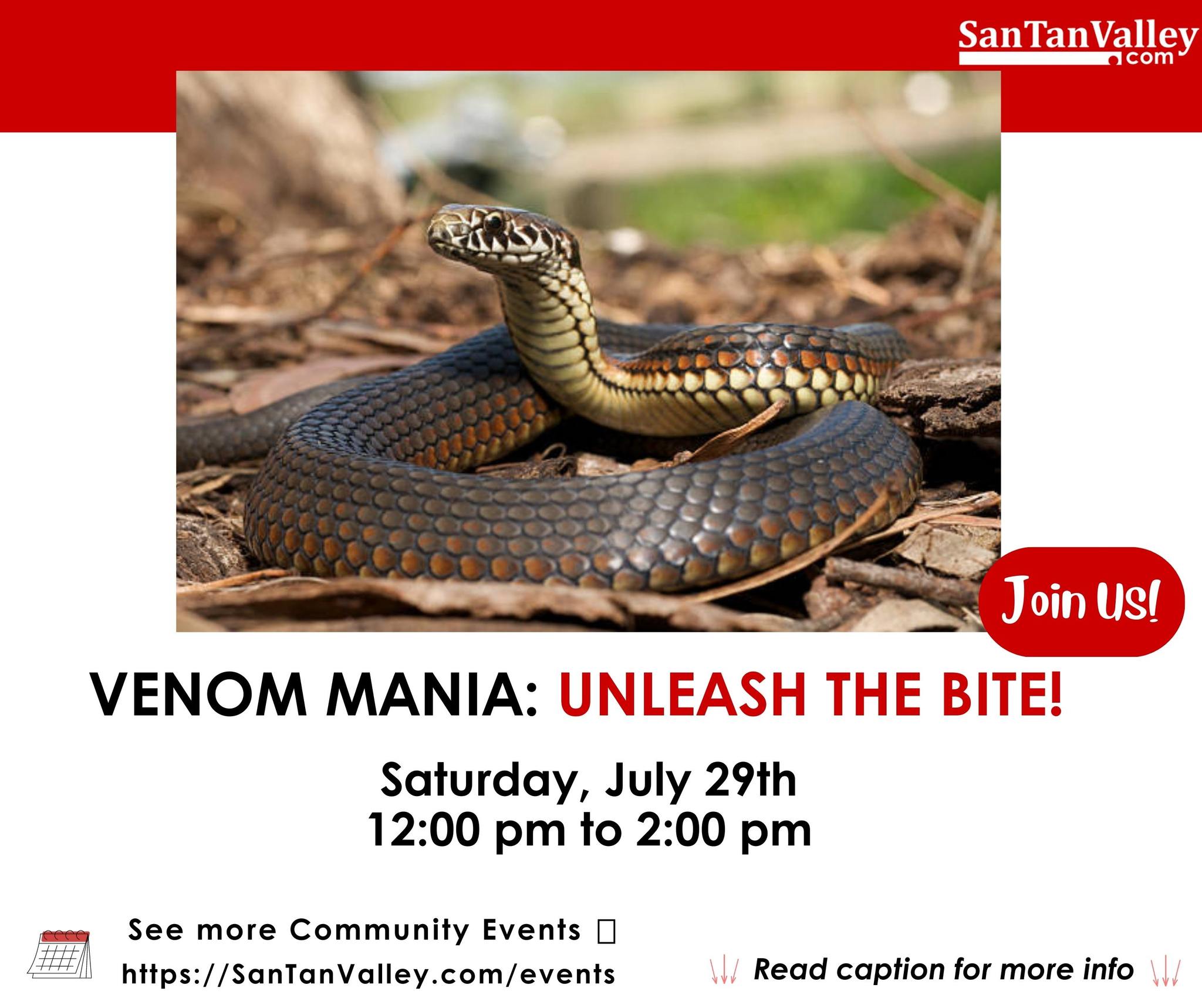 LIKE SNAKES?!. 🙌🔬 Then join Ranger... - SanTanValley.com