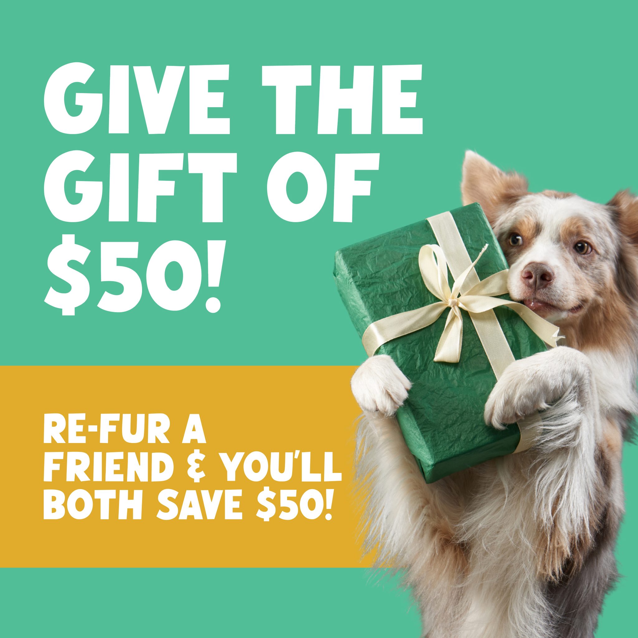OnPoint - Our referral program is a year-round thank you to our loyal ...